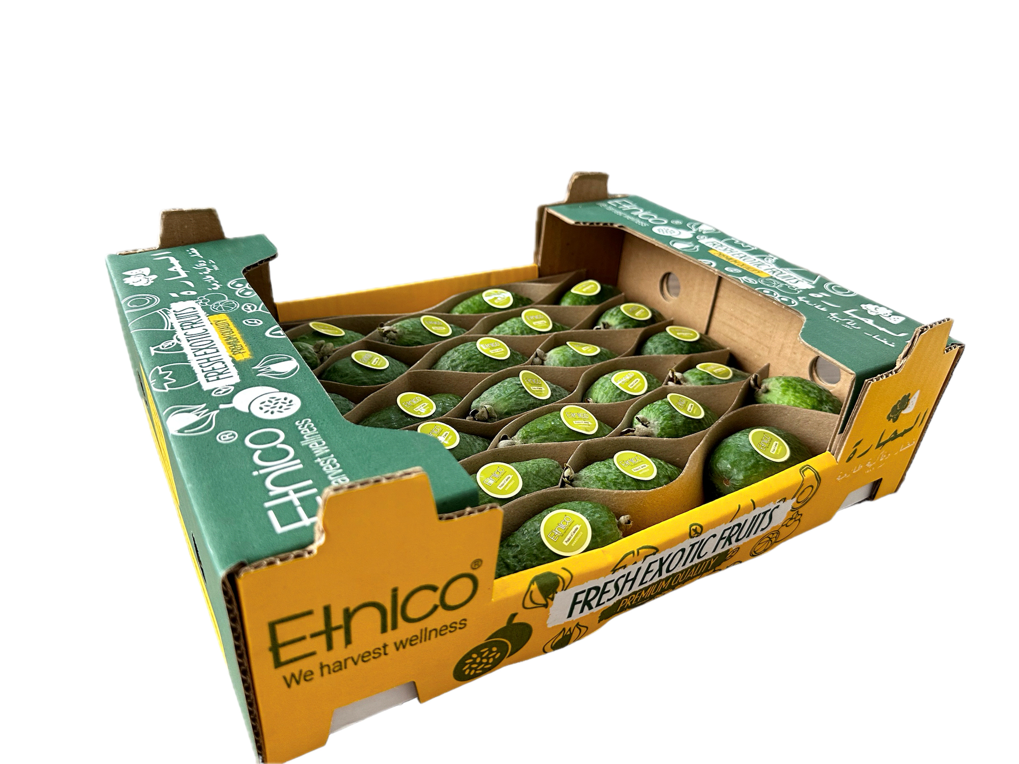 Feijoa 2 Background Removed