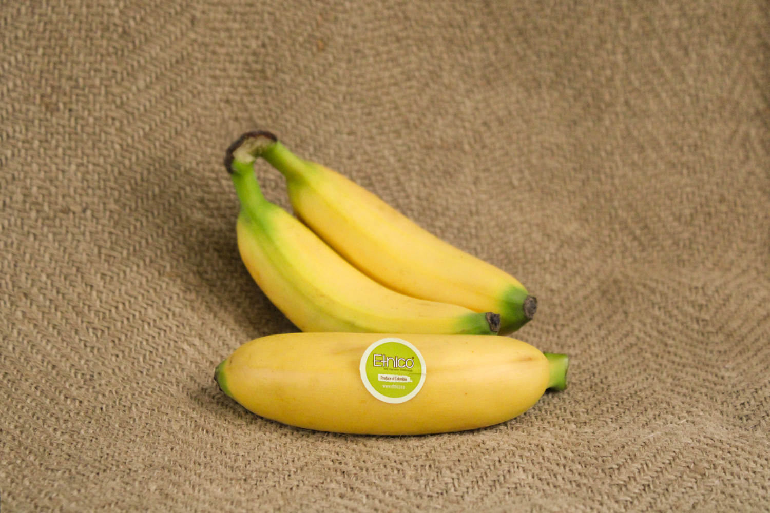 Bananito-1